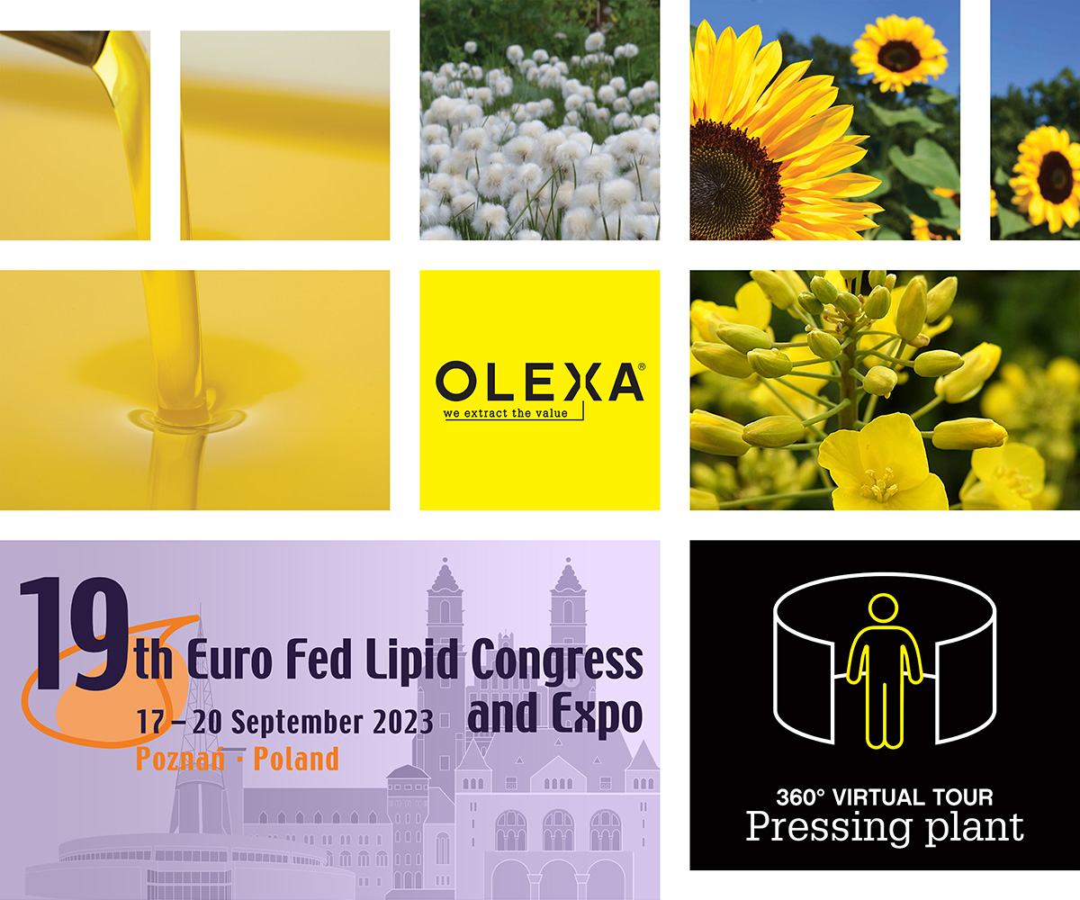 19eme congres euro fed lipid image
