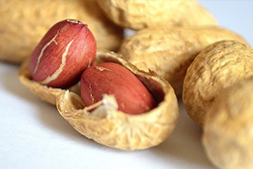 Peanut