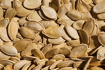 Squash seed